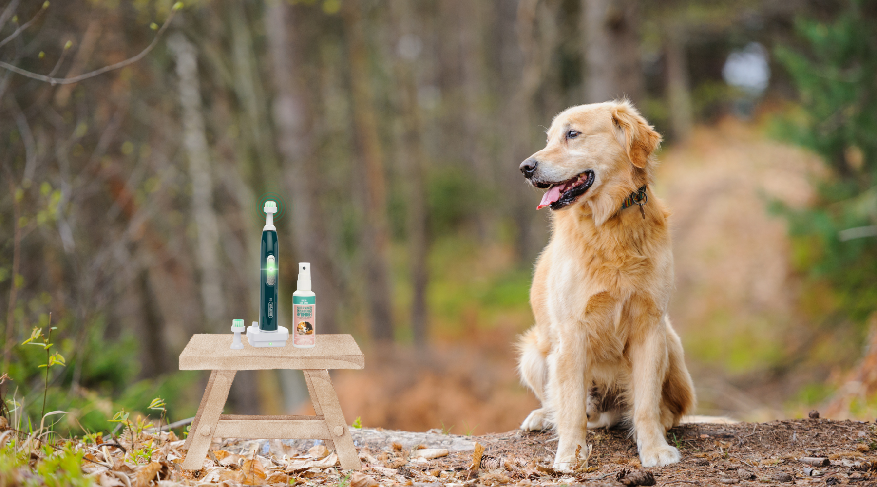 Pfoten pflege nach dem Spaziergang mit dem emmi-pet 2in1-Gerät