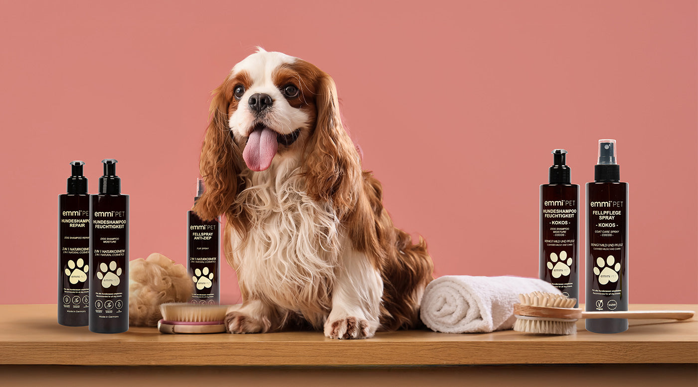 Fellpflege-Spray Kokos auf Holztisch mit Bürste