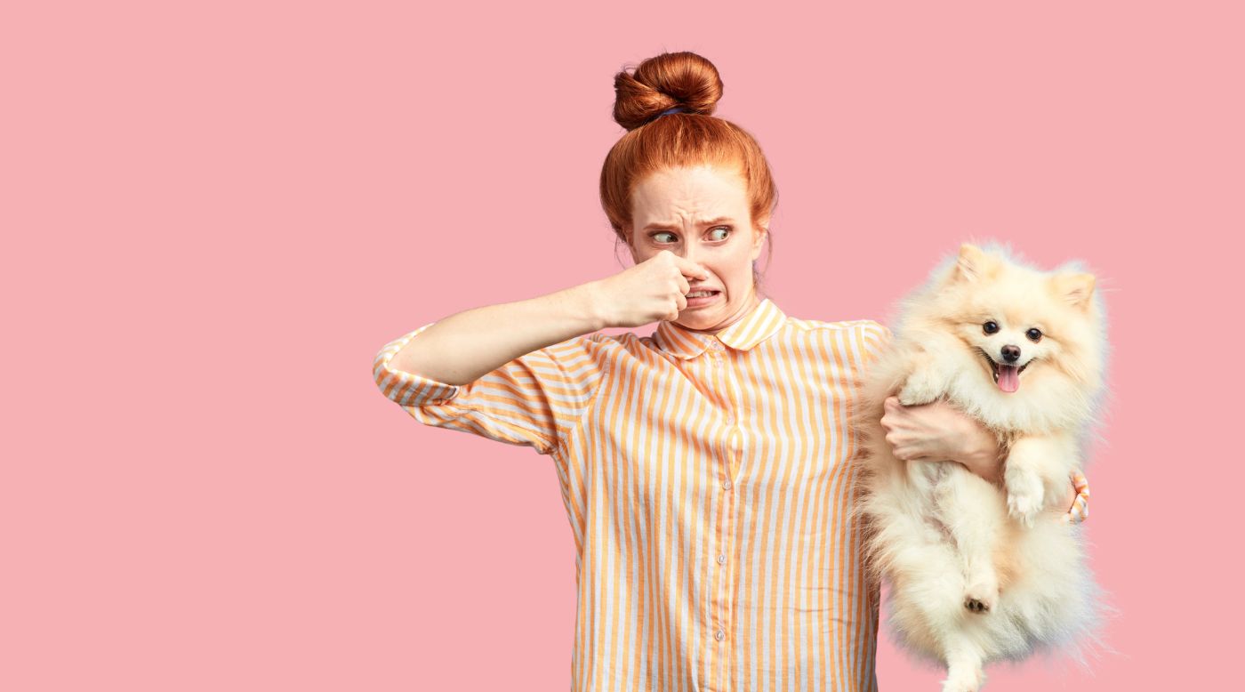 Fellwechsel: warum Maulgeruch beim Hund zunehmen kann