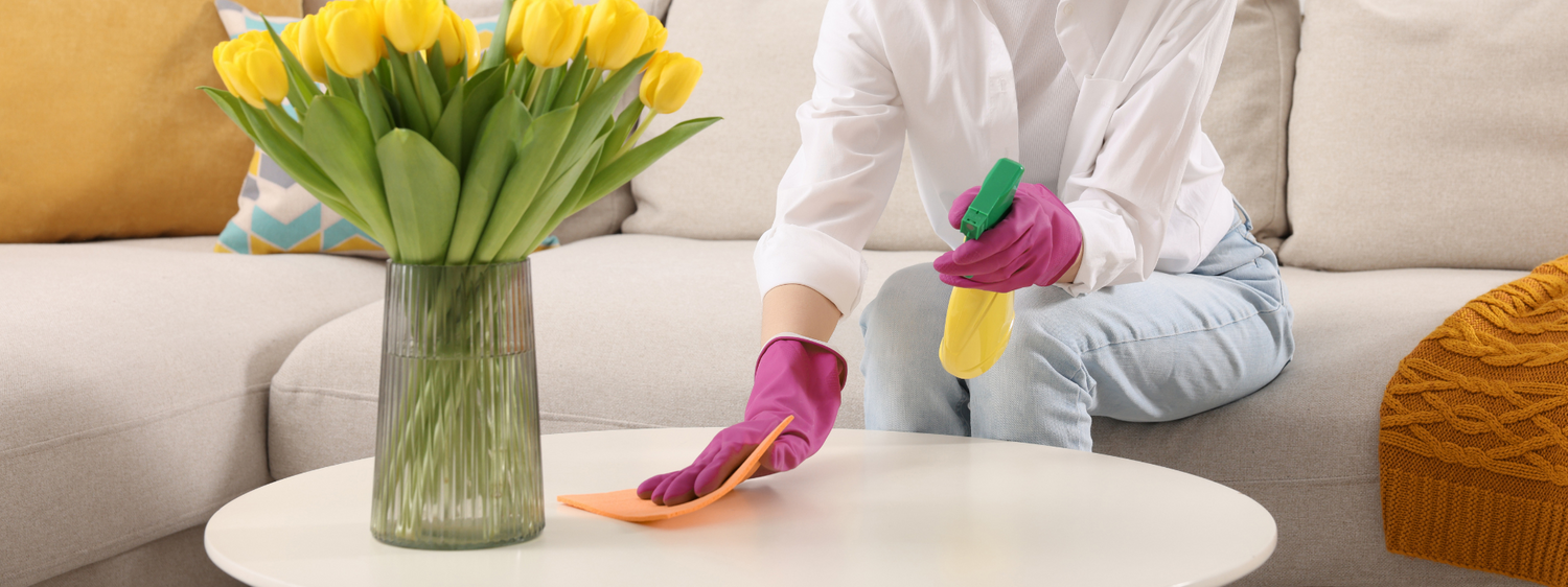 Frühjahrsputz mit Haustieren – so reinigst du haustierfreundlich