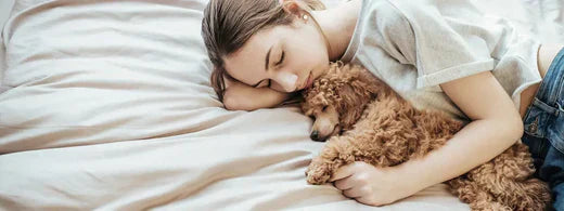 Natürliche Parasitenabwehr beim Hund