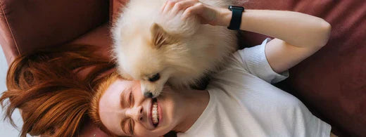 Warum ist die richtige Zahnpflege für dein Haustier entscheidend?