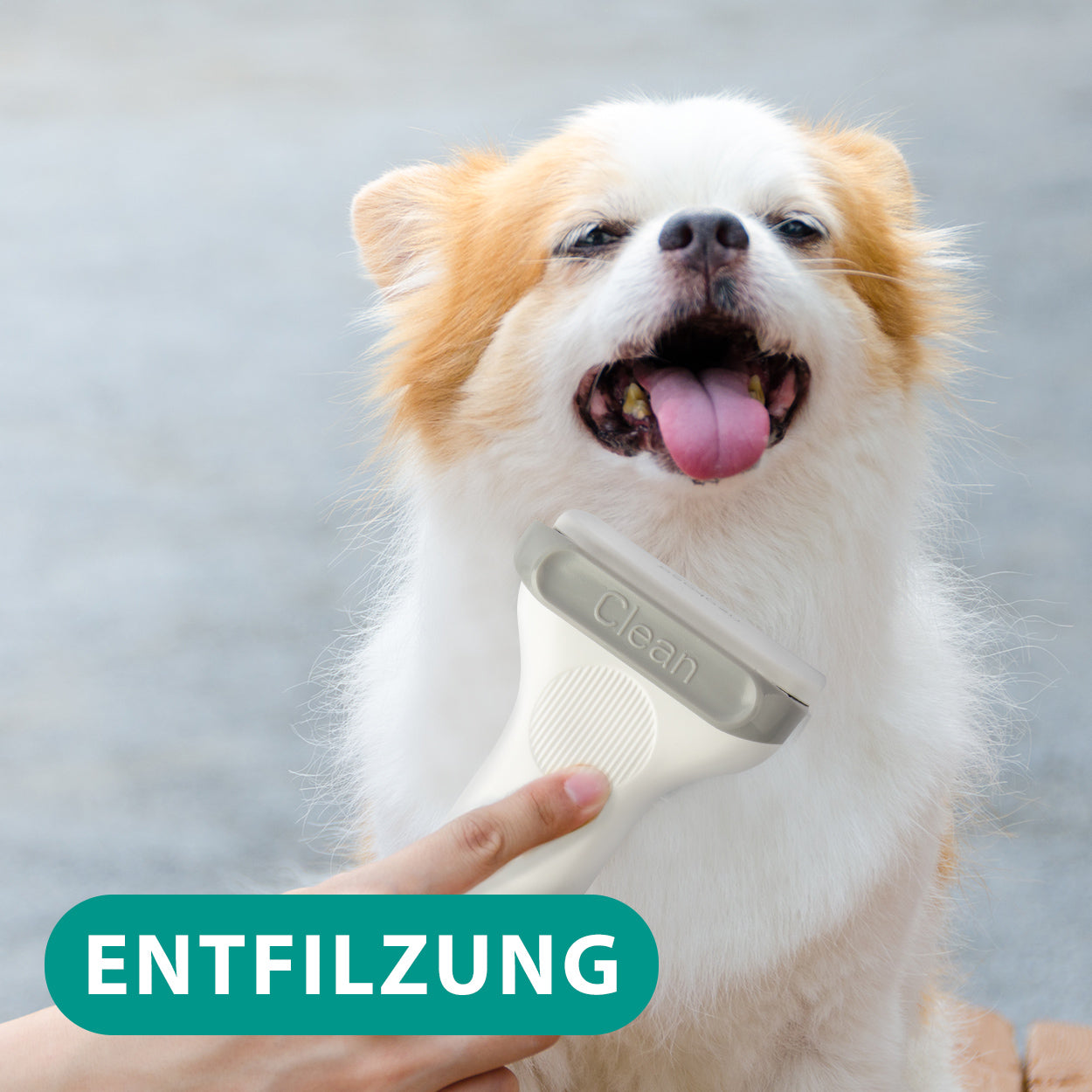 Tondeuse pour chien Neakasa avec aspirateur pour poils d'animaux