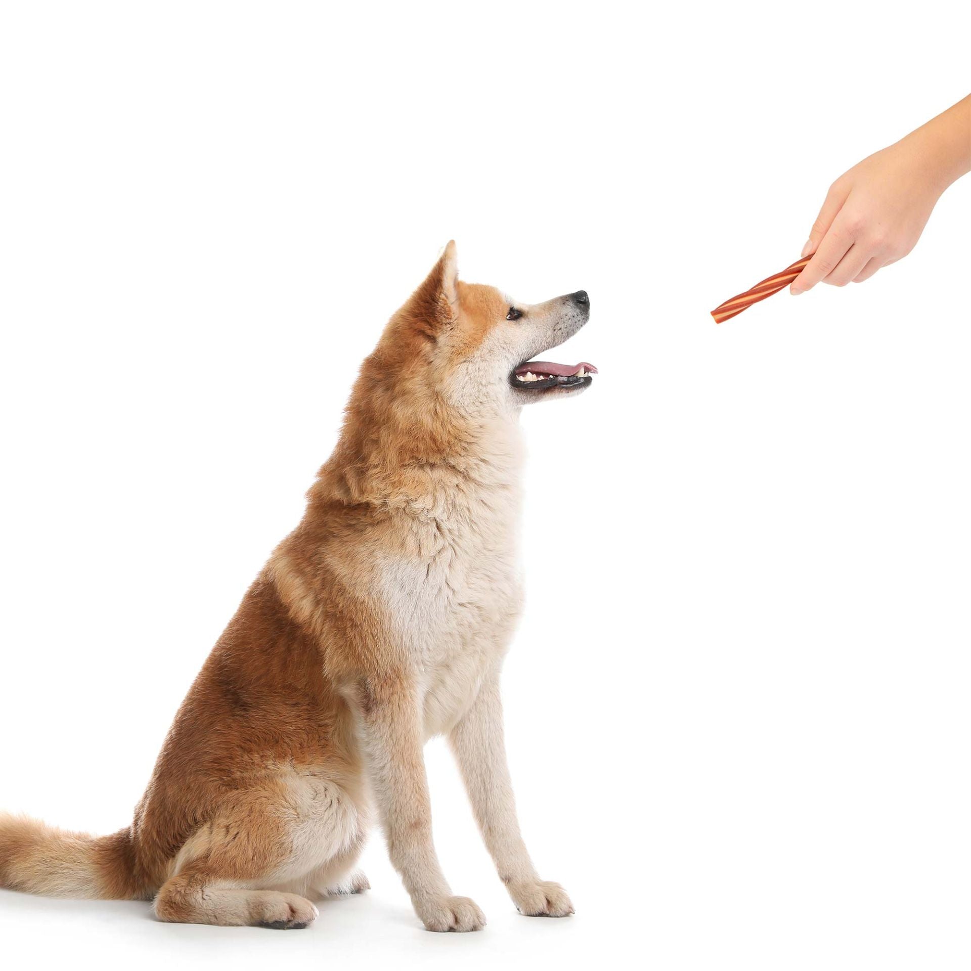 Dental Sticks “Teeth Polisher”