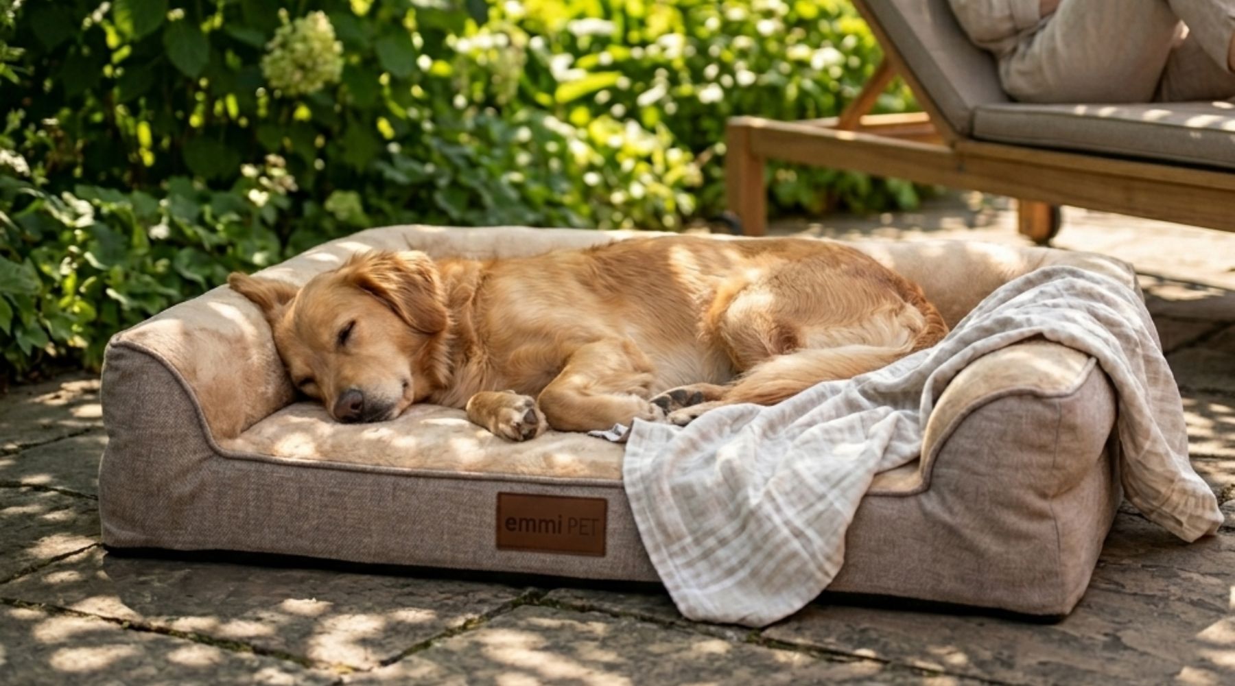 Hund reibt sein Maul am Boden oder an Möbeln?