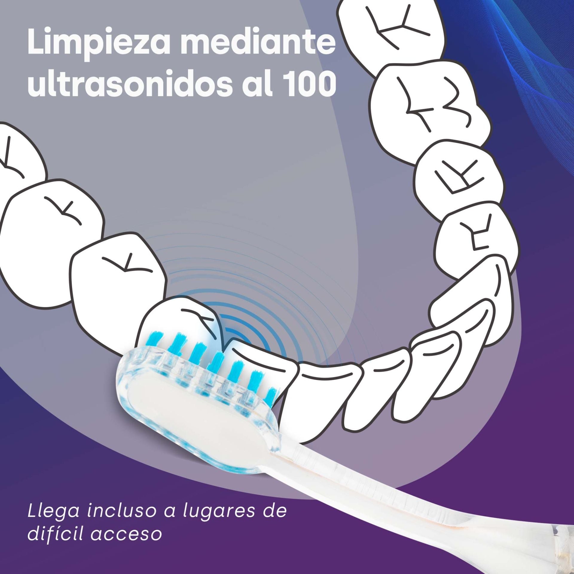 Têtes de brosse fines