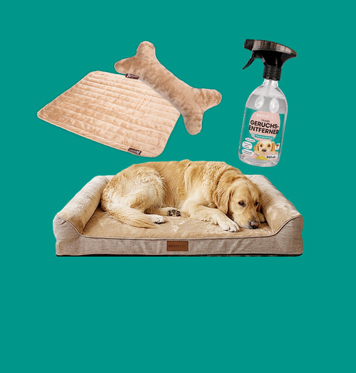 lits pour chiens