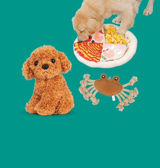 jouets pour chiens