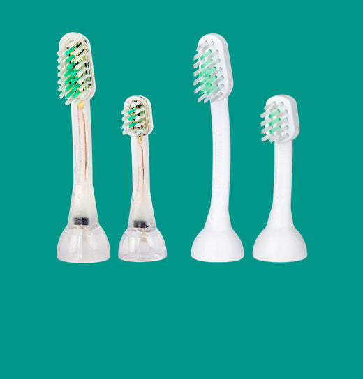 têtes de brosse