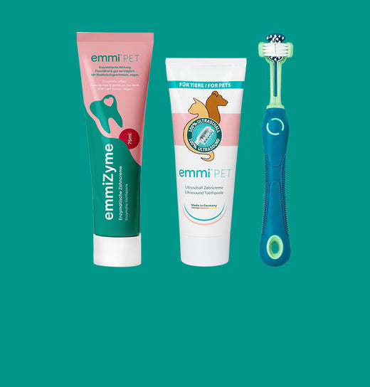 dentifrice pour chien