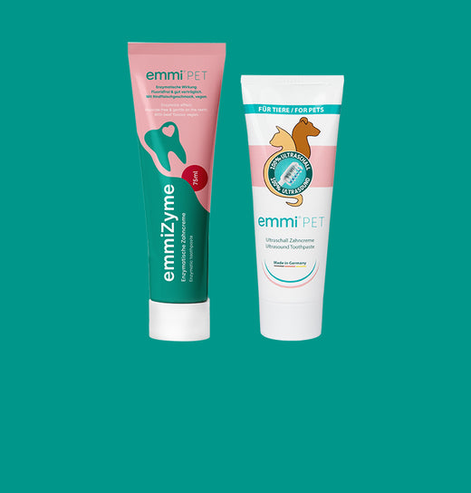 dentifrice pour chat