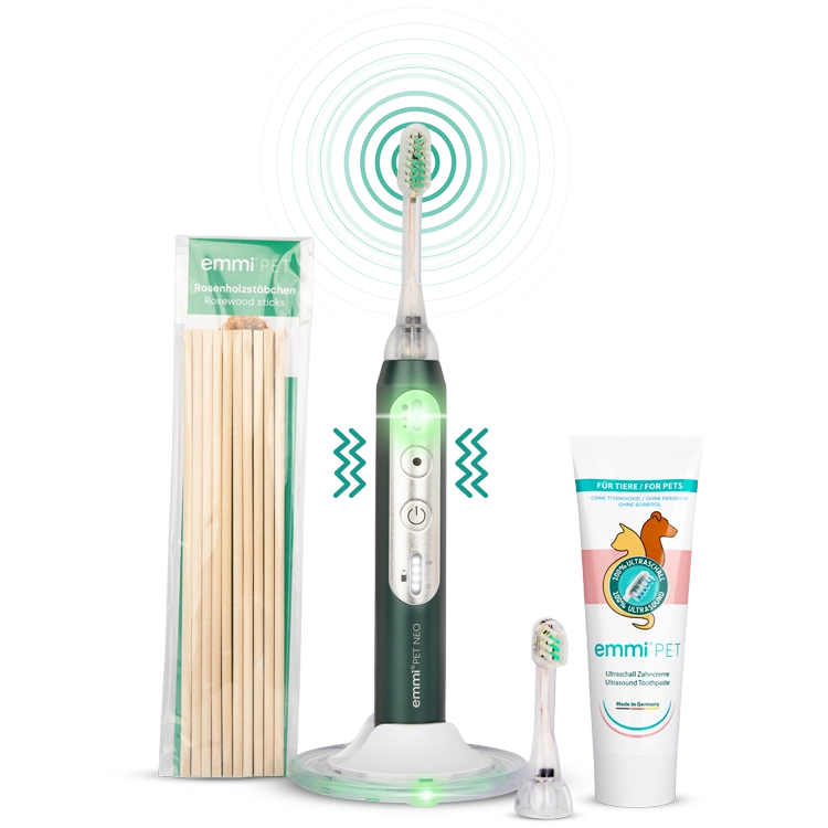 Brosse à dents ultrasonique NEO