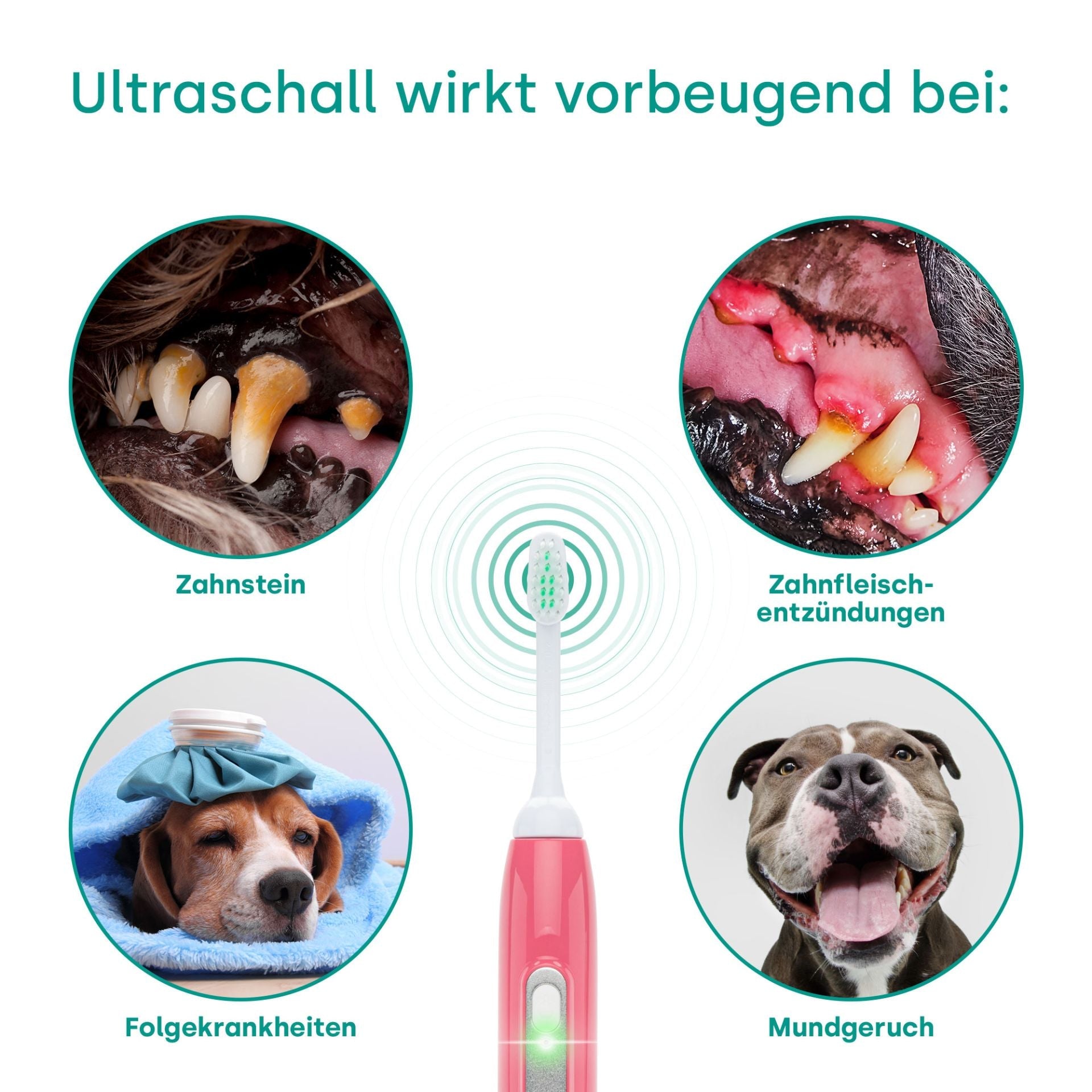 18262-Emmi-pet Basis Set 2.0 Limited Pink