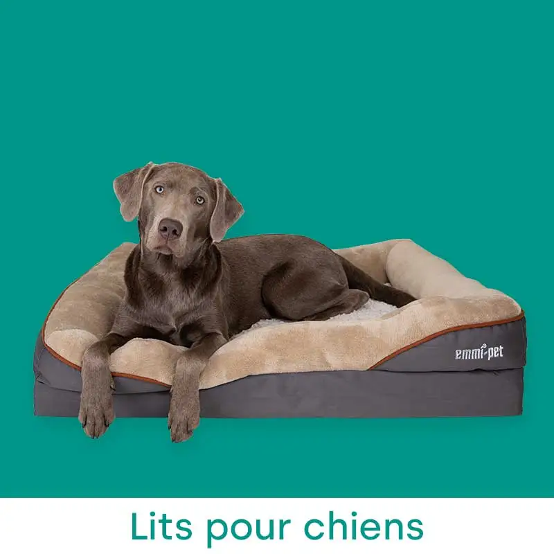 Lits pour chiens