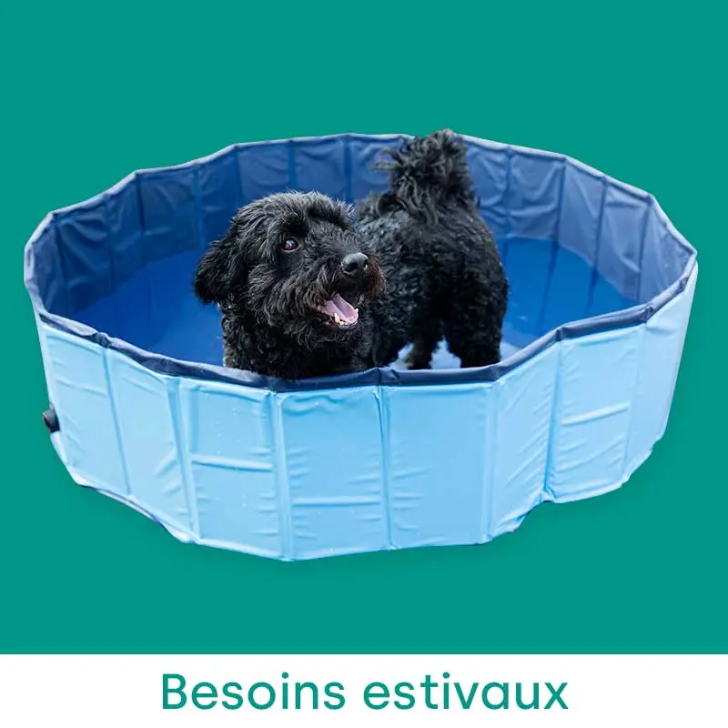 Besoins estivaux